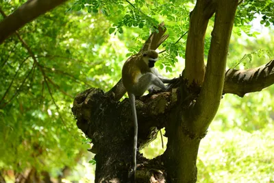 DSC_7866 (Large).JPG